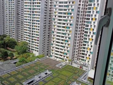 Property media