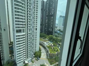 Property media