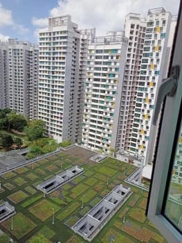 Fernvale Vista photo 3