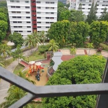 Spottiswoode Park photo 3
