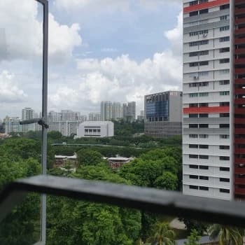 Spottiswoode Park photo 2