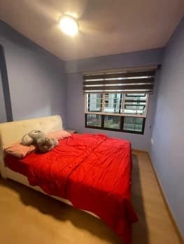 Hdb photo 3