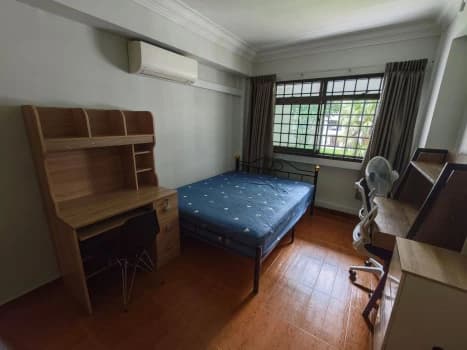 Hdb photo 2