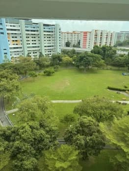 161 Tampines Street 12 photo 2