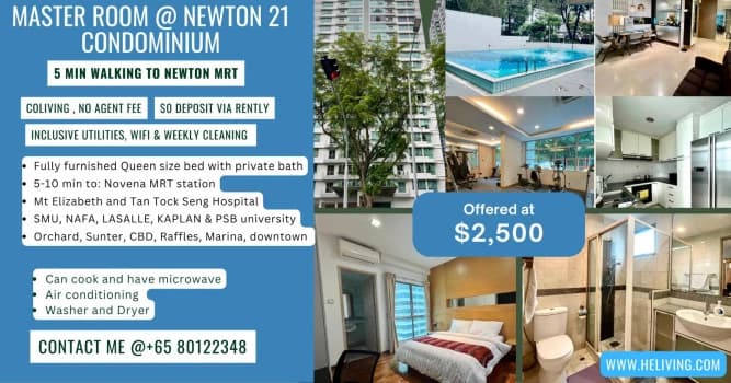 Newton 21 photo 1