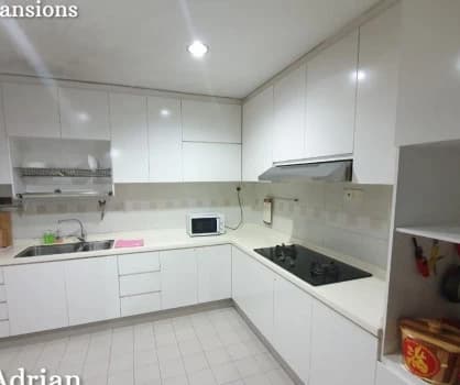 Ritz Mansions photo 4