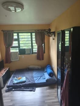 Segar Palmview photo 1