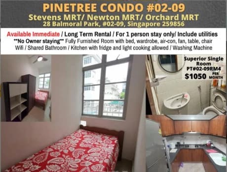 Pinetree Condominium photo 1