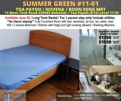 Summer Green photo 1