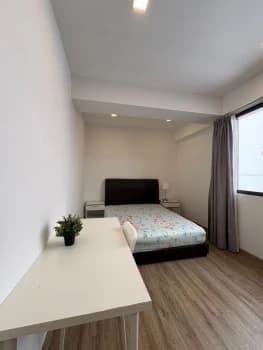 Balestier Road photo 5