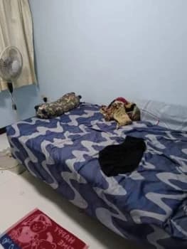 Fernvale Rivergrove photo 1