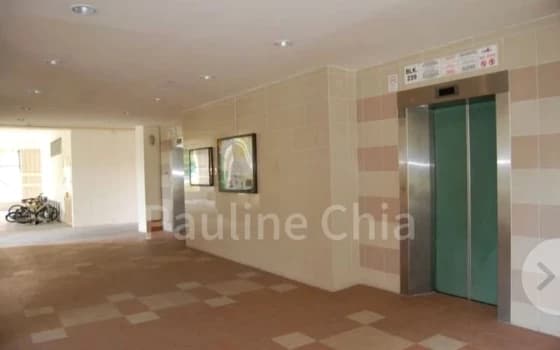 239 Pasir Ris Street 21 photo 3