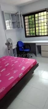 Common Room Hdb For Rent In 534 Pasir Ris Drive 1 photo 1