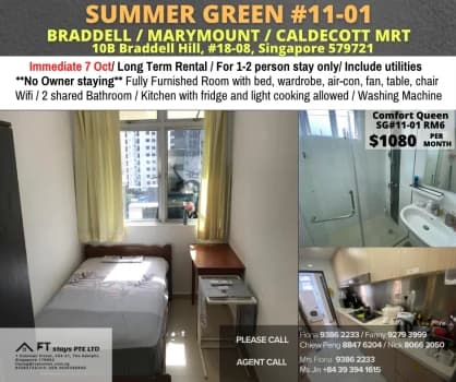 Summer Green photo 1
