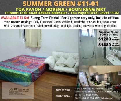 Summer Green photo 1