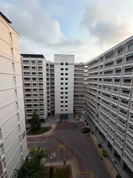 Pasir Ris Street 21 photo 3