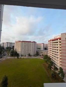 Pasir Ris Street 21 photo 5