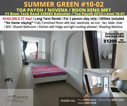 Summer Green photo 1