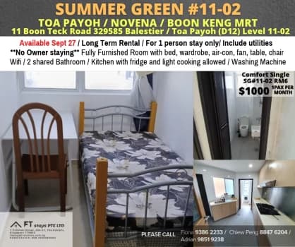 Summer Green photo 1
