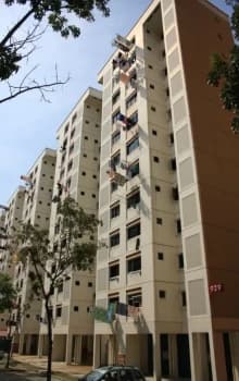 Nanyang Emerald photo 2