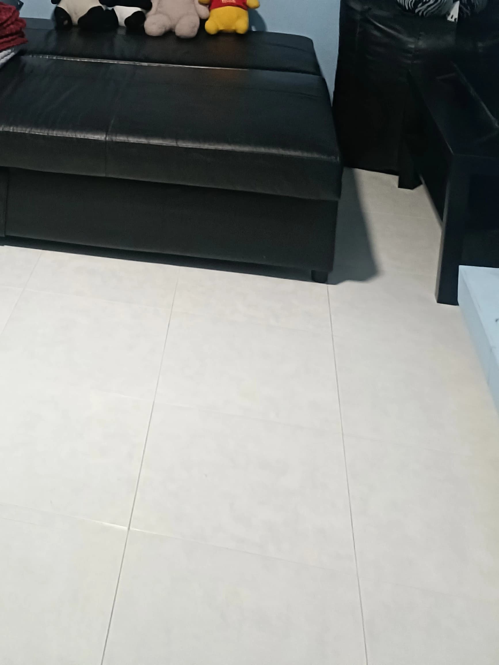 Choa Chu Kang photo 5